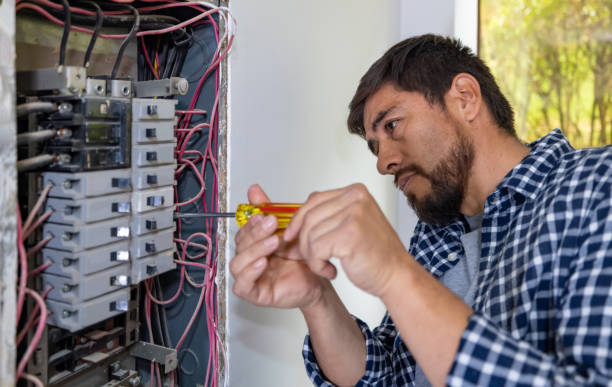 Best Home Electrical Repair  in Menahga, MN